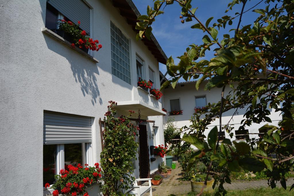 Lindenhof Hahn Daire Blankenrath Dış mekan fotoğraf